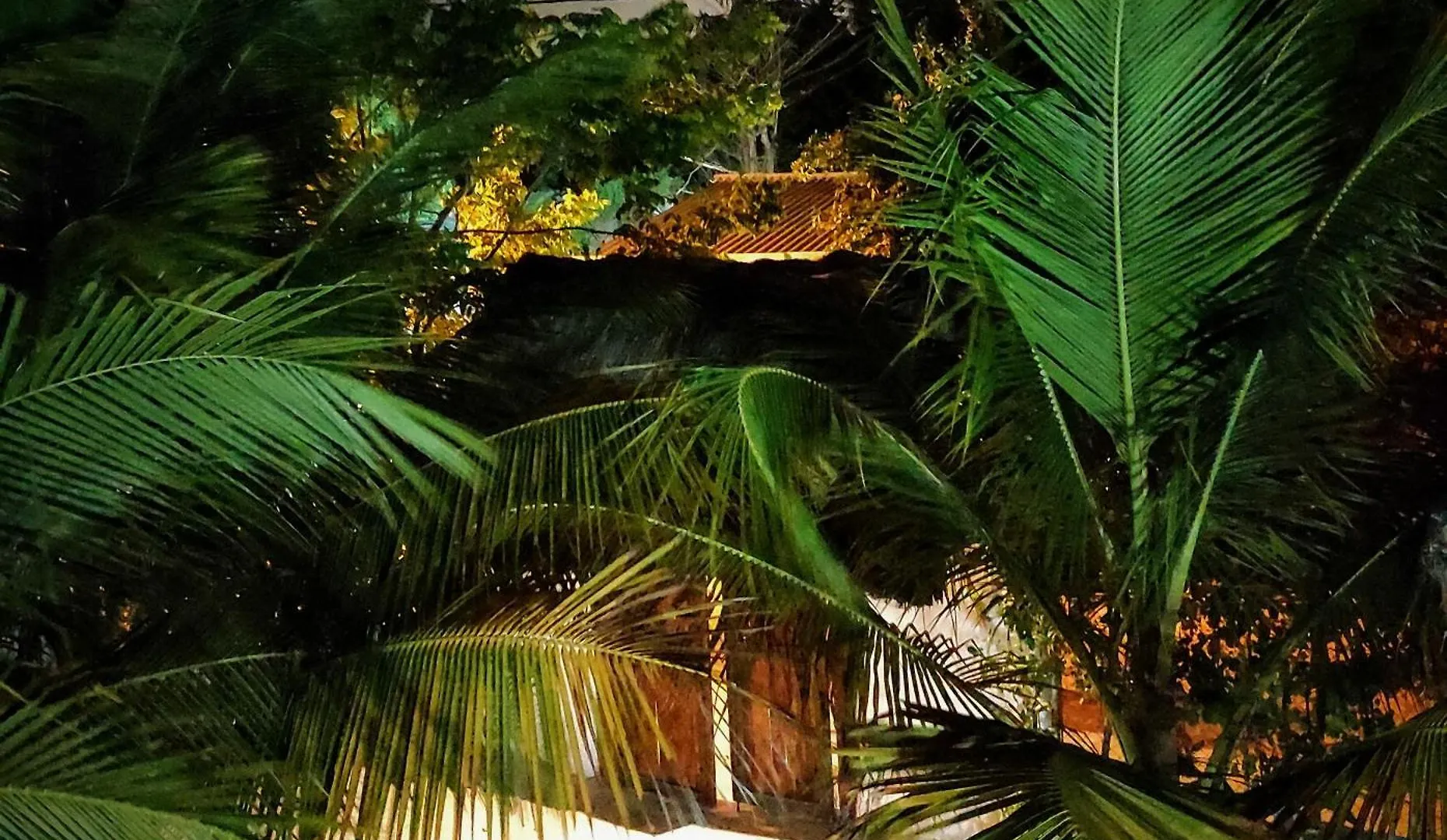 La Caracola Cartagena Guest House Colombia